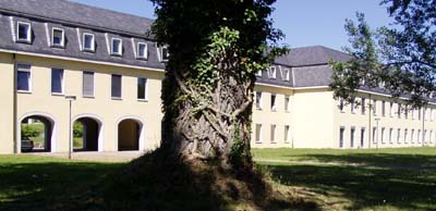 alter Baumstamm, mit Efeu bewachsen, vor dem Schloss