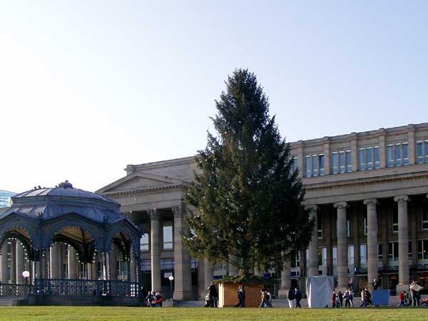 Weihnachtsbaum vor dem Königsbau