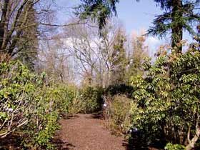 der Rhododendron-Garten