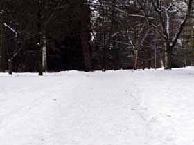 Spazierweg, um auch bei geschlossener Schneedecke durch den Park gehen zu können.