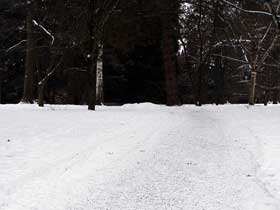 Rollsplit auf dem schneebedeckten Weg